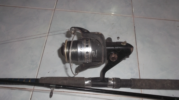 เป็ดตกปลา เป็ดตกปลา