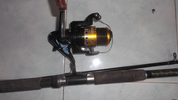 เป็ดตกปลา เป็ดตกปลา