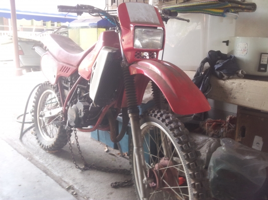 ขายวิบาก MTX 125