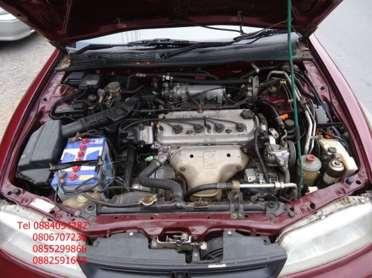 ขาย Honda Accord สีแดง+ติดแก็ส lpg ราคา 88,000 บาท ++++++++