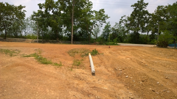 ขายที่ดิน 5 งาน