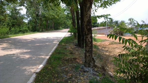 ขายที่ดิน 5 งาน ขายที่ดิน 5 งาน