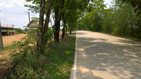 ขายที่ดิน 5 งาน ขายที่ดิน 5 งาน