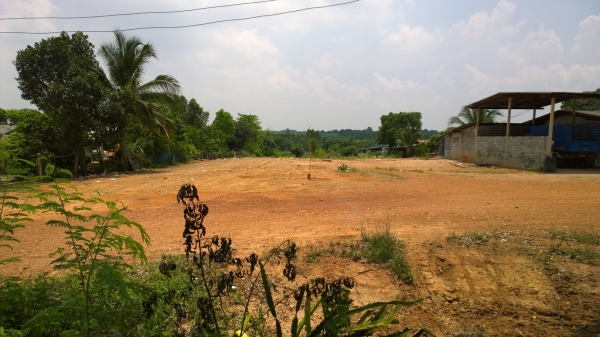 ขายที่ดิน 5 งาน ขายที่ดิน 5 งาน