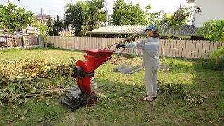 ขายด่วน-เครื่องหั่นย่อยกิ่งไม้ขนาดเล็ก ม.แม่โจ้ รุ่น เล็ก MJU-EB3 เครื่อง HONDA สภาพใช้งาน 7 วัน