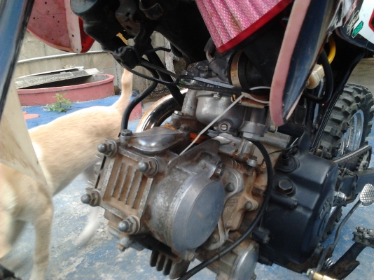 ขายzuzu110cc มีเล่ม