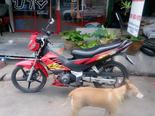 sonic สภาพดี ราคาถูก พร้อมใช้งาน