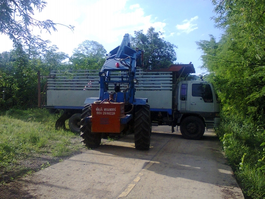ขายรถคีบอ้อย FORD-5000 สภาพดี ต่อใหม่ใช้งานแค่ 1 ปี ขายรถคีบอ้อย FORD-5000 สภาพดี ต่อใหม่ใช้งานแค่ 1 ปี