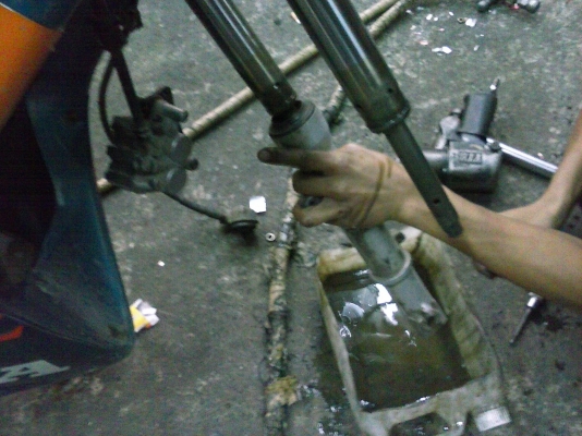 ขาย Proarm. ถูกๆ