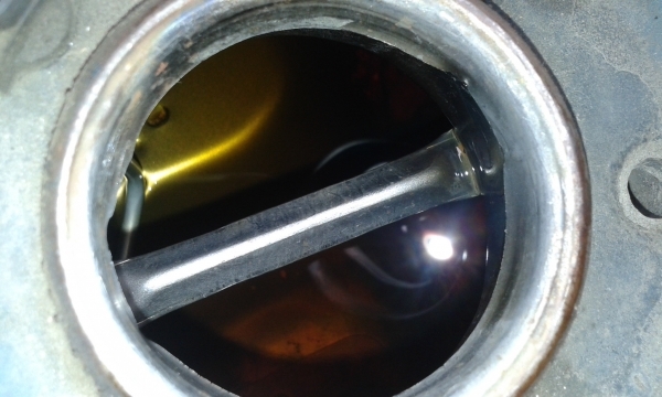 ขาย Proarm. ถูกๆ