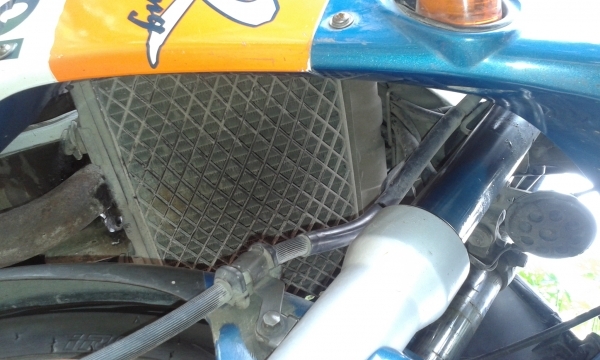 ขาย Proarm. ถูกๆ