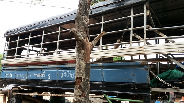 ขายด่วน