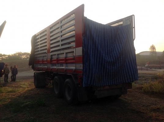 ขายพ่วงสามคานแท้ st 2553 ไม่ดัมส์