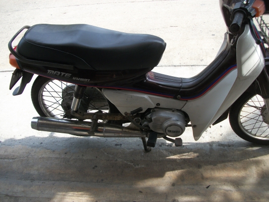 ขอขายเมทนางพญาใหม่ครับ