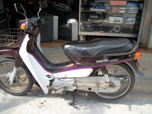 ขอขายเมทนางพญาใหม่ครับ