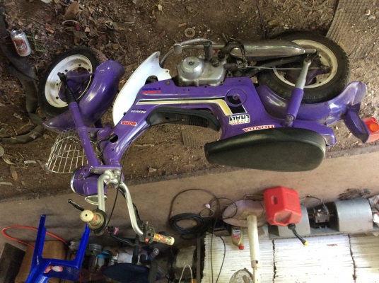 ขายชาลีขี้เกียจเก็บ8500บาทมายกไปเลย