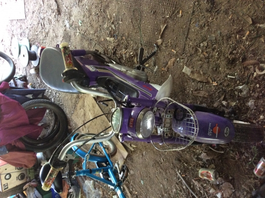 ขายชาลีขี้เกียจเก็บ8500บาทมายกไปเลย