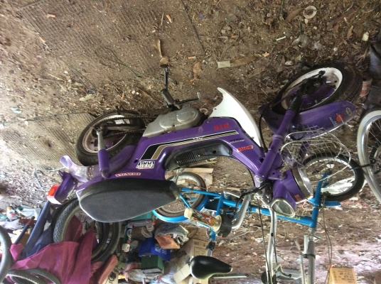 ขายชาลีขี้เกียจเก็บ8500บาทมายกไปเลย