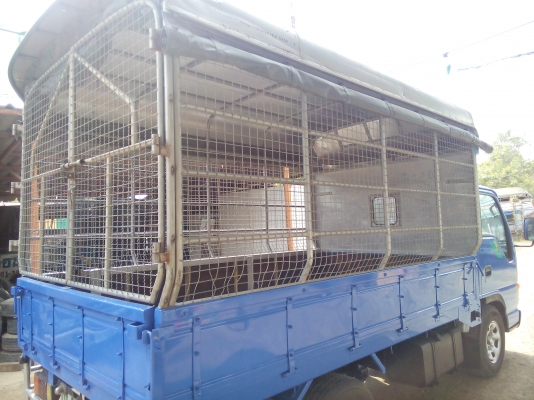 4 ล้อบรรทุก * ไม่ติดเวลา * ISUZU  NKR 100 แรงม้า  *ยาว 3.20 ม.*  รถสวยจริง (คอกมีข้างเสริม,หลังคา,ลงเล่มแล้ว) มีเล่มพร้อมโอน