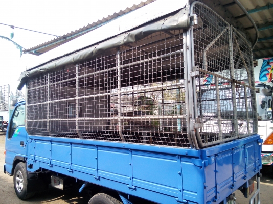 4 ล้อบรรทุก * ไม่ติดเวลา * ISUZU  NKR 100 แรงม้า  *ยาว 3.20 ม.*  รถสวยจริง (คอกมีข้างเสริม,หลังคา,ลงเล่มแล้ว) มีเล่มพร้อมโอน