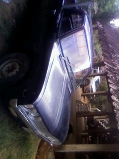 ตัดใจขายช้างเหยียบครับ