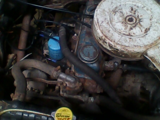 ตัดใจขายช้างเหยียบครับ