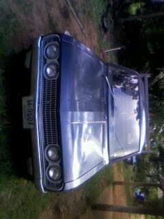 ตัดใจขายช้างเหยียบครับ