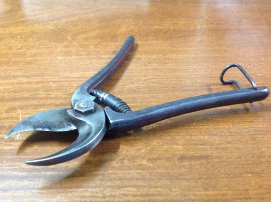 ขายคีมตัดกิ่งโบราณจาก อังกฤษ ขายคีมตัดกิ่งโบราณจาก อังกฤษ