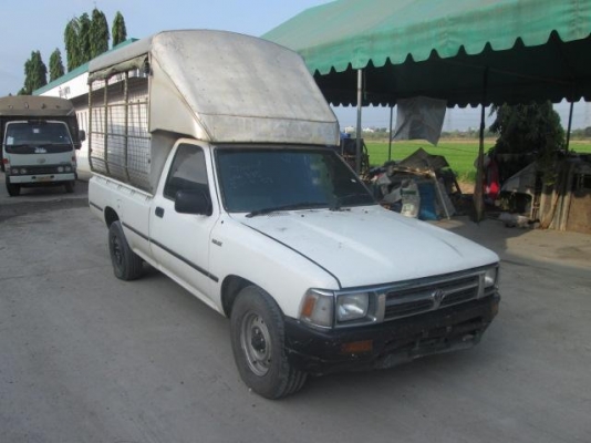 ไมตี้ ปี 96