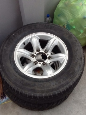 เล็บเหยี่ยว 1 วง