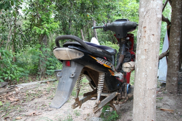 ขายเวฟ 100 ตามสภาพเครื่องไม่ติดจอดนานมีเบียนพร้อมชุดโอนภาษีขาด รถอยู่สระแก้ว ขายเวฟ 100 ตามสภาพเครื่องไม่ติดจอดนานมีเบียนพร้อมชุดโอนภาษีขาด รถอยู่สระแก้ว