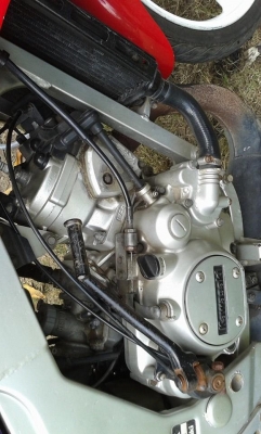 ขายเซอสภาพพร้อมใช้ราคาน่าใช้ครับ 0869555870 ลาดกระบัง