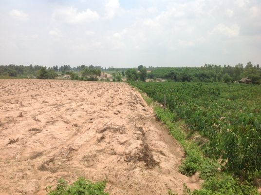 ขออนุญาตขายที่ทำกินครับ