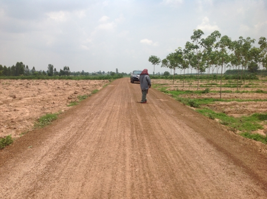 ขออนุญาตขายที่ทำกินครับ ขออนุญาตขายที่ทำกินครับ