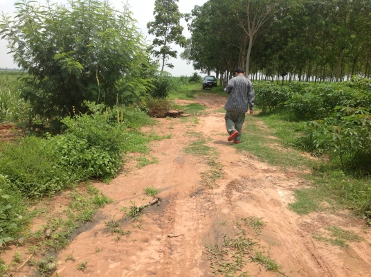 ขออนุญาตขายที่ทำกินครับ