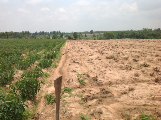 ขออนุญาตขายที่ทำกินครับ ขออนุญาตขายที่ทำกินครับ