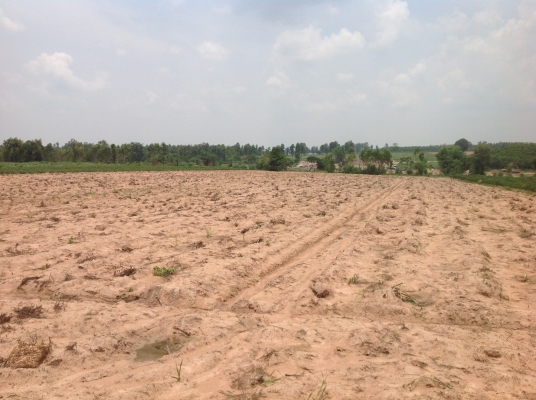 ขออนุญาตขายที่ทำกินครับ ขออนุญาตขายที่ทำกินครับ