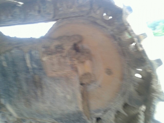 ขาย Cat320B ไฟฟ้าครบจอครบ 38,XXX ชั่วโมง เอกสารเล่มทะเบียน