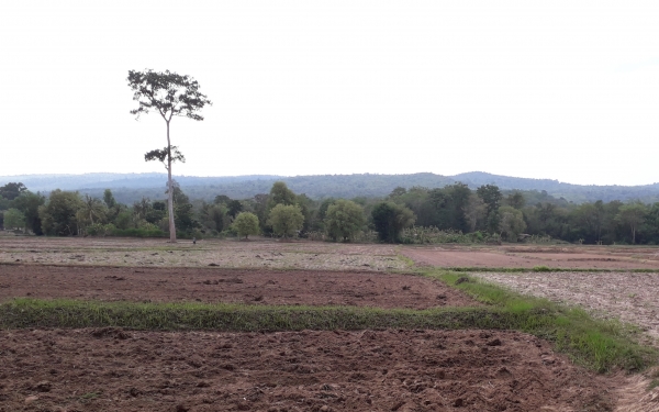 ขอขอบคุณพี่เสือและทีมงาน hino 3m แม่+ลูก รถบ้านราคาถูก (เจ้าของขายเอง)........