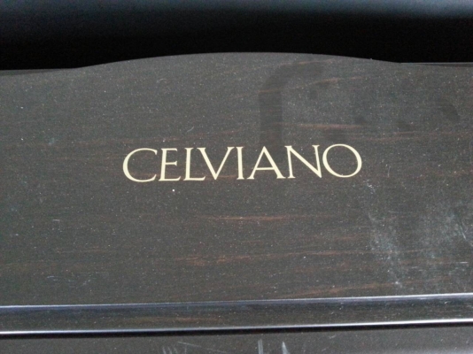 ขายเปียโนไฟฟ้าและคลาสสิคมีหลายรุ่นหลายราคาเริ่มต้นที่5000บาทสนใจ0853647170