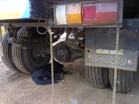 ขายรถคุณแต๋นหกล้อ สภาพดี พร้อมใช้