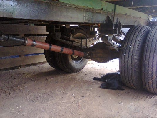 ขายรถคุณแต๋นหกล้อ สภาพดี พร้อมใช้