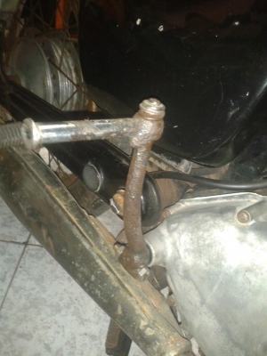 ขายหมูสนิม  nobook  โลตัส สมทรสาคร 0819306939