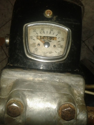 ขายหมูสนิม  nobook  โลตัส สมทรสาคร 0819306939