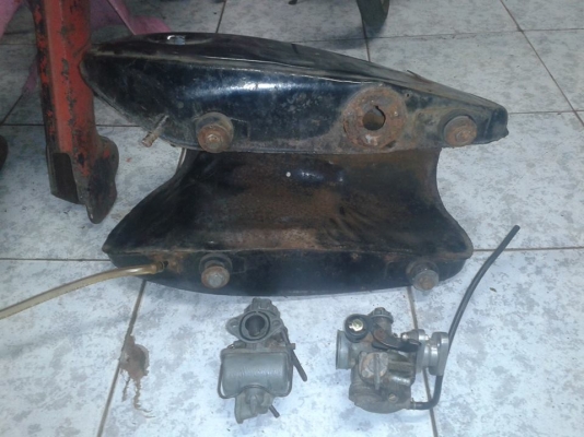 ขายหมูสนิม  nobook  โลตัส สมทรสาคร 0819306939