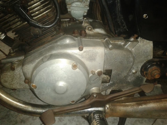 ขายหมูสนิม  nobook  โลตัส สมทรสาคร 0819306939