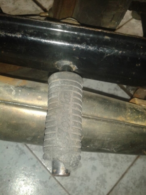 ขายหมูสนิม  nobook  โลตัส สมทรสาคร 0819306939