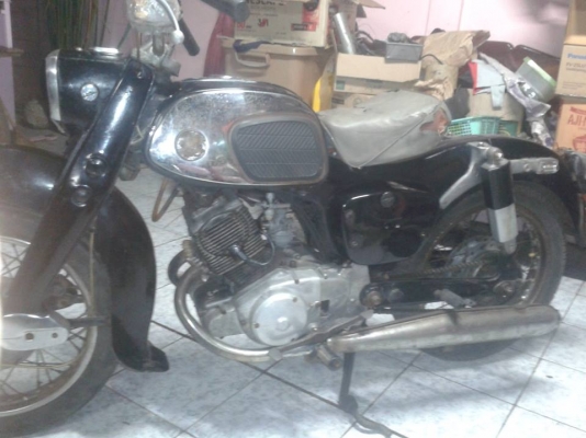 ขายหมูสนิม  nobook  โลตัส สมทรสาคร 0819306939