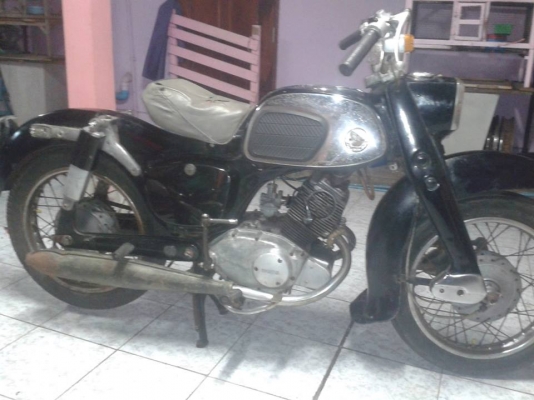 ขายหมูสนิม  nobook  โลตัส สมทรสาคร 0819306939