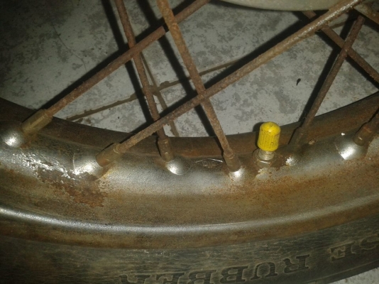 ขายหมูสนิม  nobook  โลตัส สมทรสาคร 0819306939